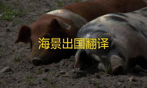 穿越火线科技直装免费教程海景出国翻译